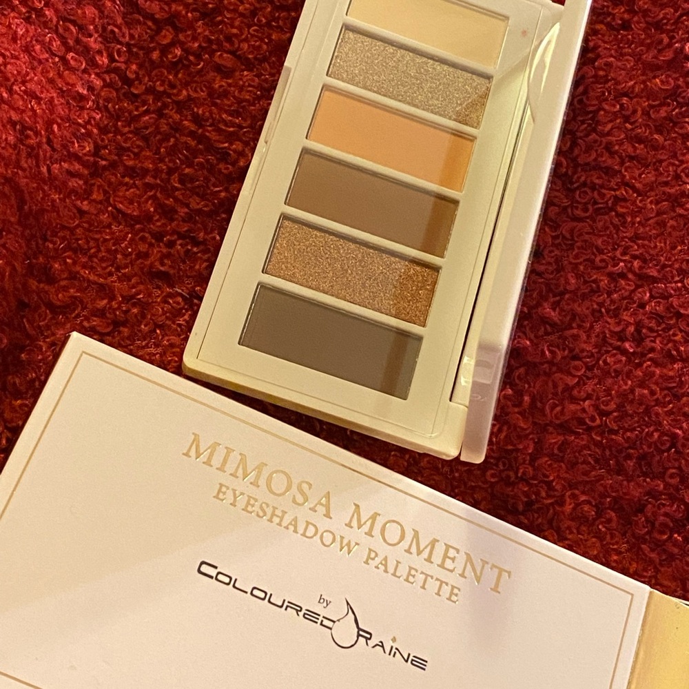 Coloured Raine- Mimosa Moment palette 🍊🥂🎨